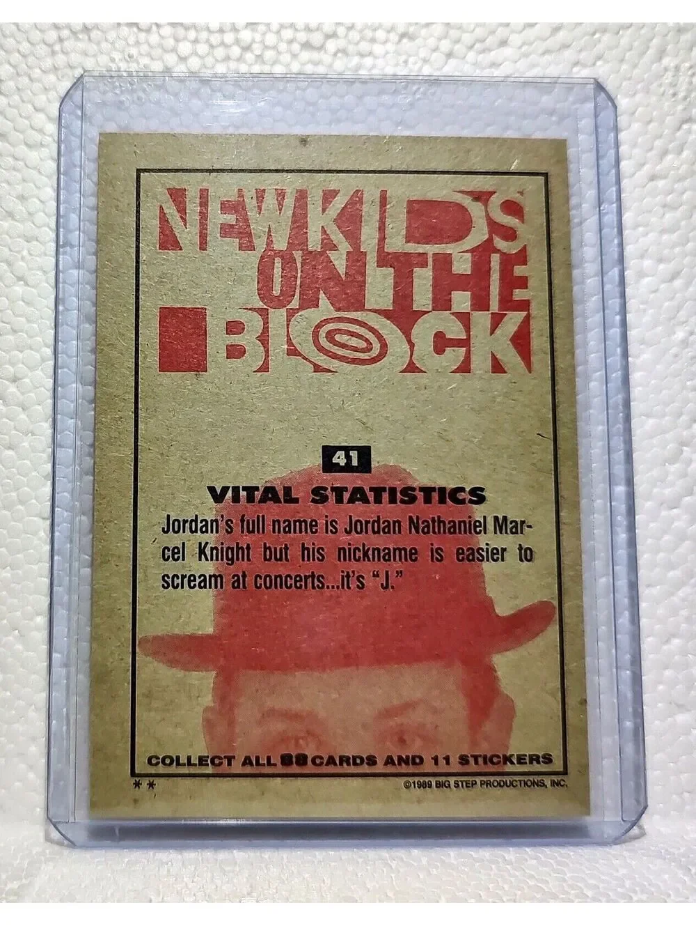 Vital Statistics 1989 New Kids on the Block #41 Trading Card